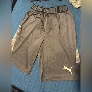 Puma Brown Athletic Shorts Lightweight Elastic Waist